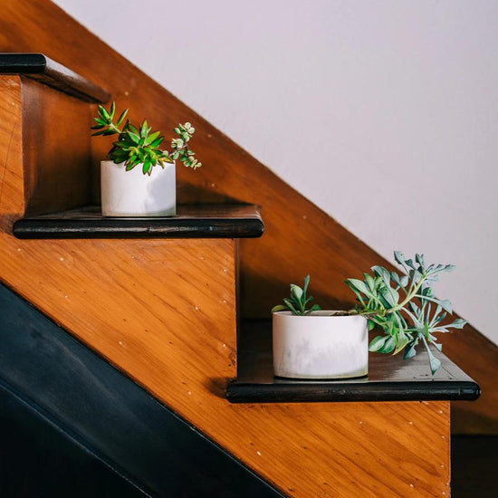 Pretti.Cool Concrete Vessels, Set of 2 - lily & onyx