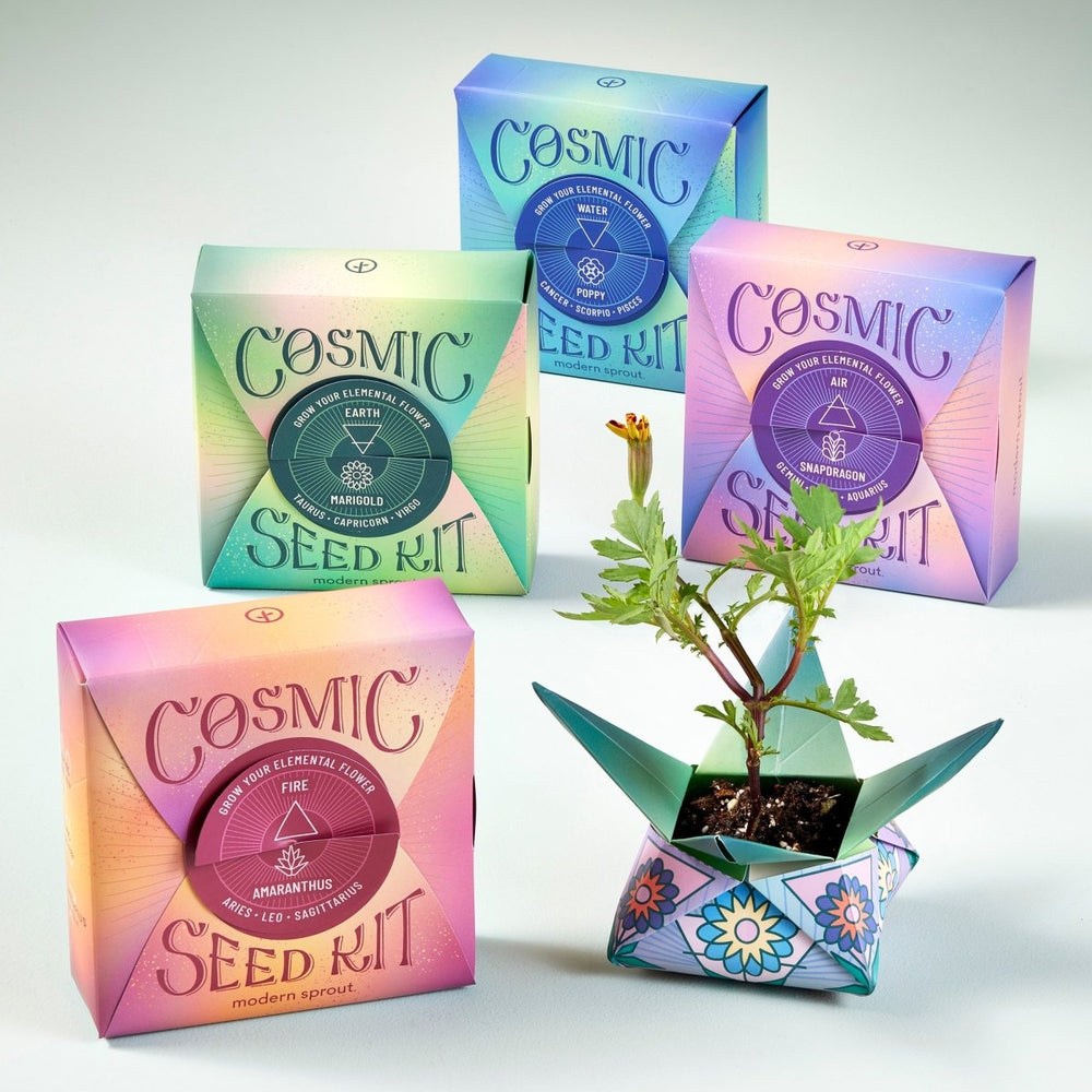 Modern Sprout Cosmic Seed Kits - lily & onyx