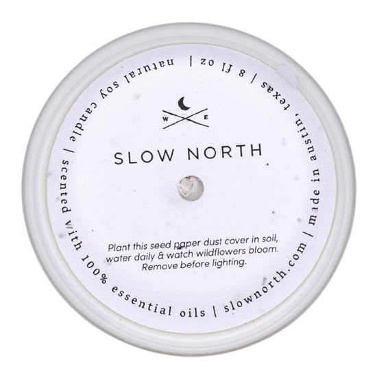 Slow North Embers + Leather | Vetiver + Cedar + Patchouli | Frosted Candle, 8 oz - lily & onyx