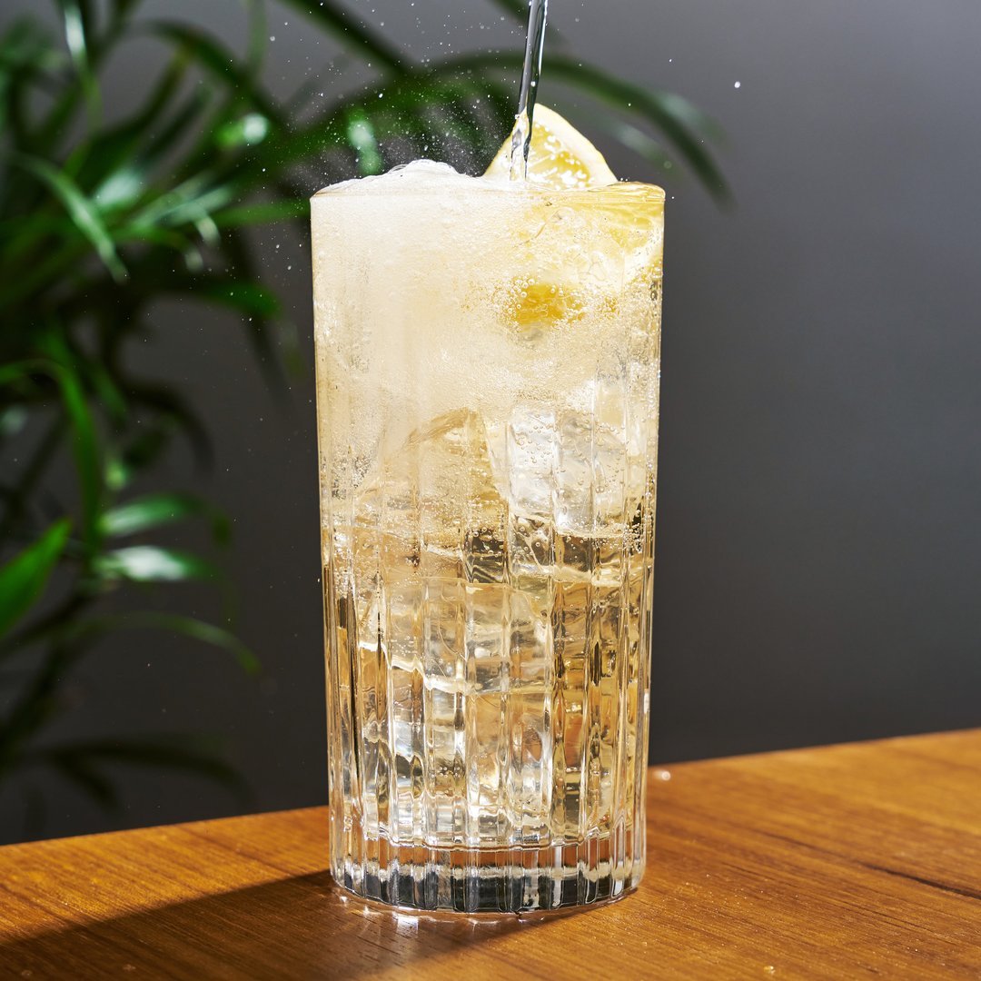 Viski European Crystal Highball Tumblers - lily & onyx