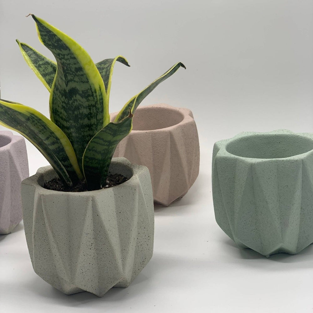 
                      
                        Uno Atelier Fold Concrete Planter, 4.5 Inch - lily & onyx
                      
                    