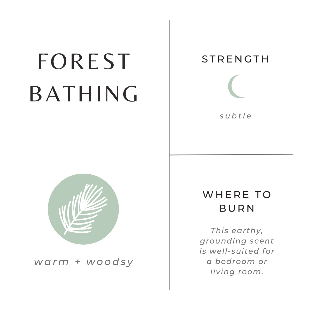 Load image into Gallery viewer, Slow North Forest Bathing | Fir + Pine + Patchouli | Frosted Candle, 8 oz - lily &amp;amp; onyx
