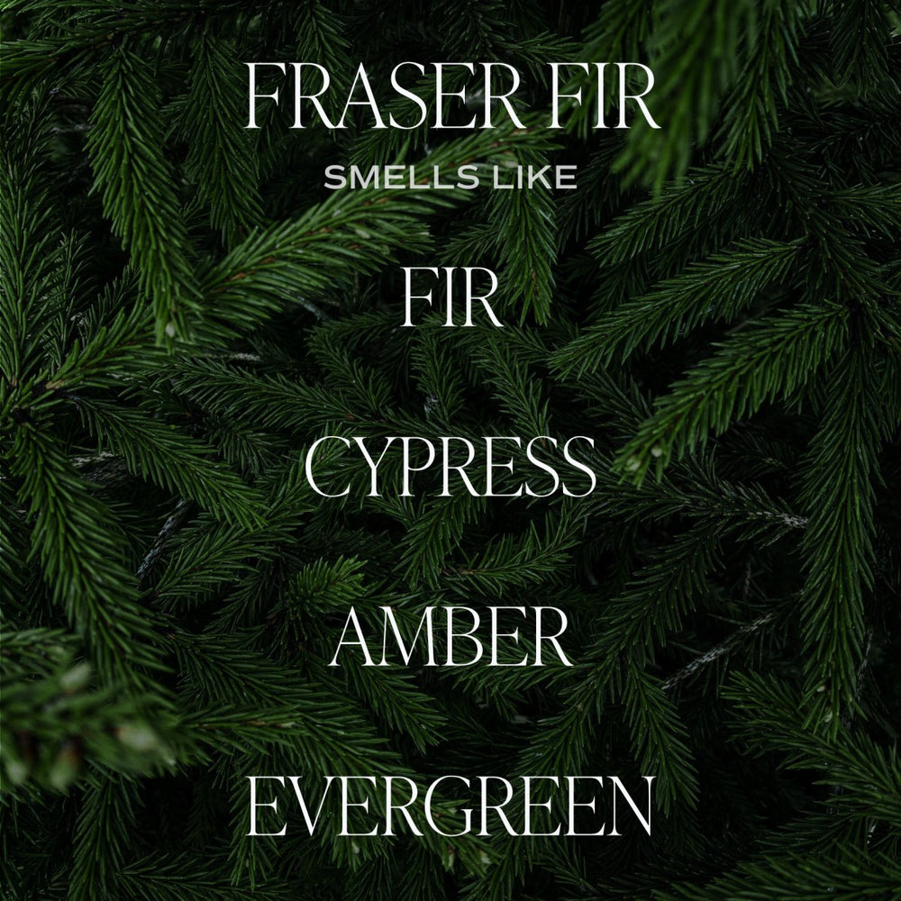 
                      
                        Sweet Water Decor Fraser Fir Soy Candle - Amber Jar - 9 oz - lily & onyx
                      
                    