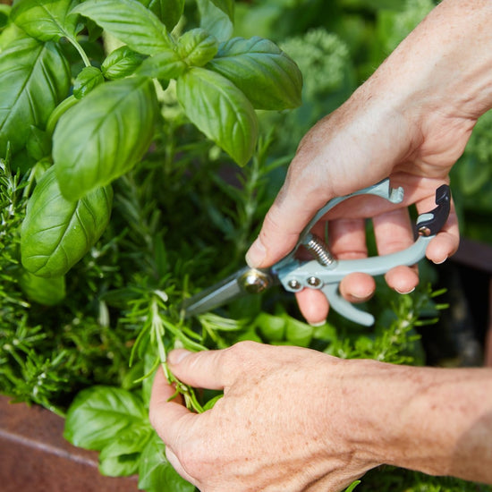 Modern Sprout Gardening Shears & Pruners - lily & onyx