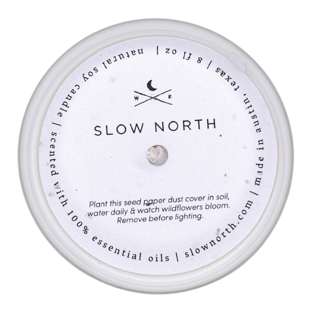 
                      
                        Slow North Geranium + Rose Frosted Candle, 8 oz - lily & onyx
                      
                    