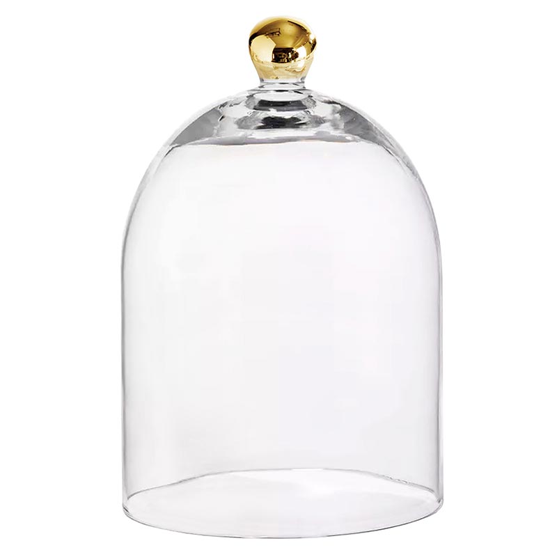 Santa Barbara Design Studio Glass Cloche with Gold Knob, Large - Set of 2 - lily & onyx