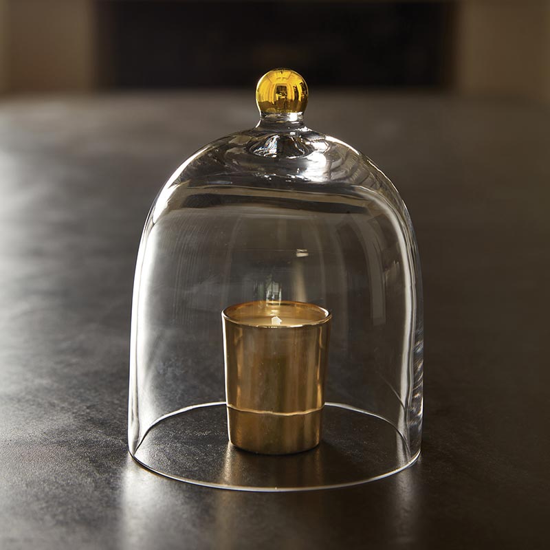 Santa Barbara Design Studio Glass Cloche with Gold Knob, Small - Set of 2 - lily & onyx