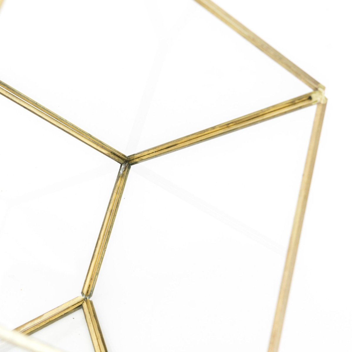 Air Plant Supply Co. Heptahedron Geometric Glass Terrarium with Gold Metallic Finish for Air Plants - lily & onyx