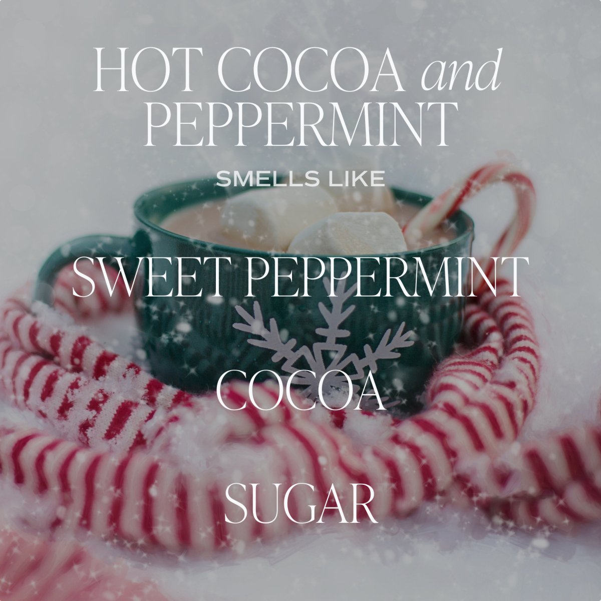 Sweet Water Decor Hot Cocoa and Peppermint Soy Candle - White Jar - 11 oz - lily & onyx