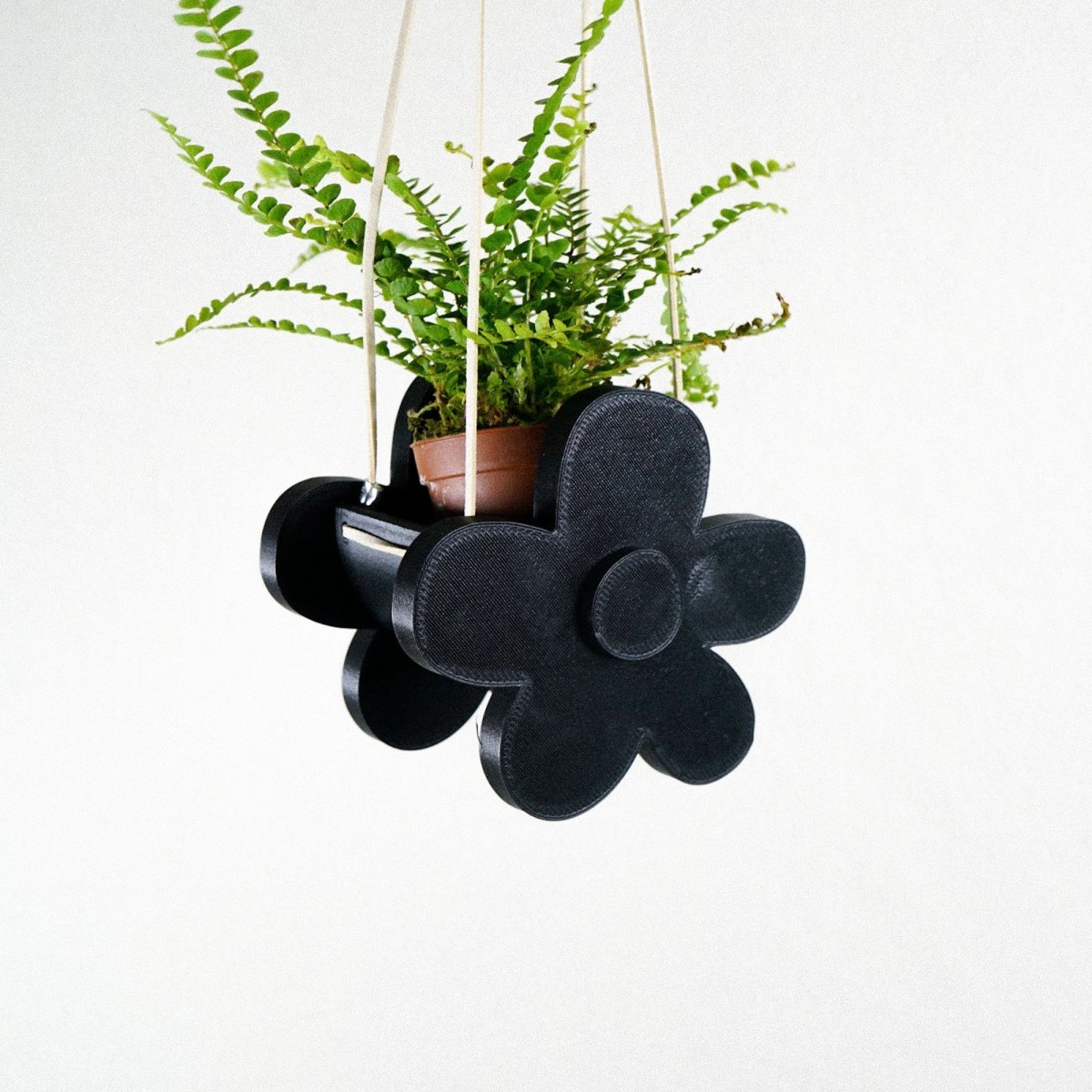 Rosebud HomeGoods Indoor Hanging Planter, Daisy - lily & onyx