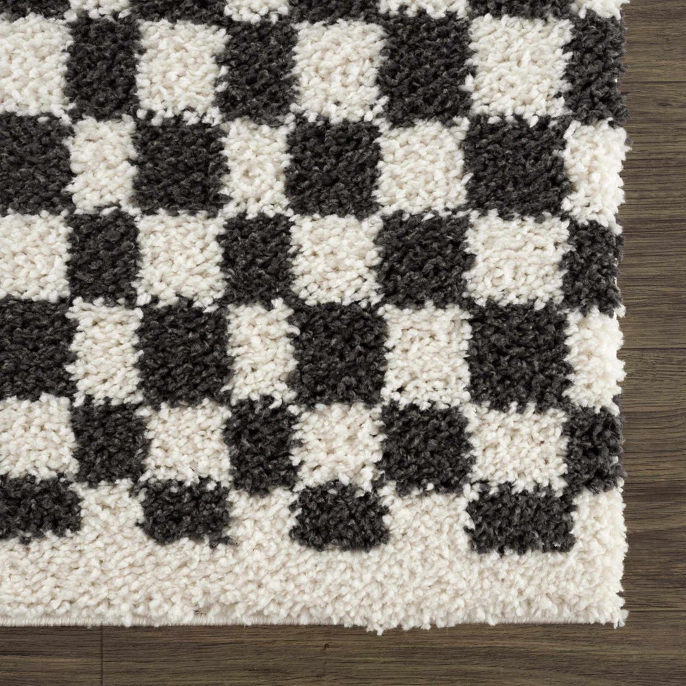 
                      
                        Hauteloom Kieu Black & White Checkered Area Rug - lily & onyx
                      
                    