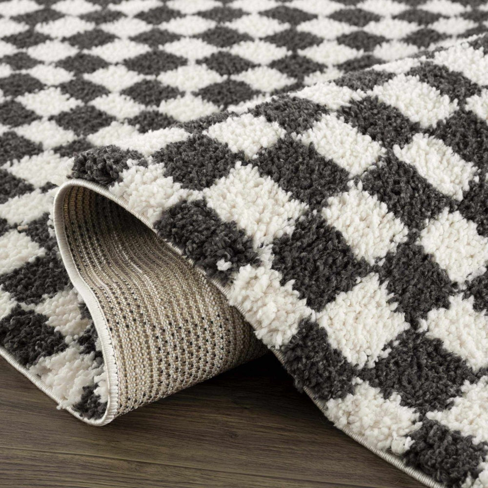 
                      
                        Hauteloom Kieu Black & White Checkered Area Rug - lily & onyx
                      
                    