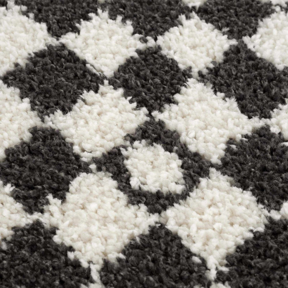 
                      
                        Hauteloom Kieu Black & White Checkered Area Rug - lily & onyx
                      
                    