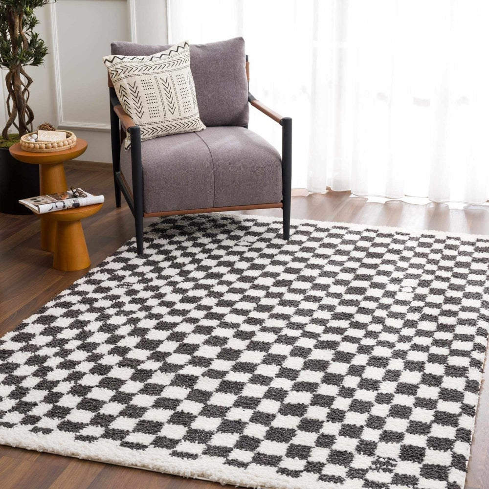 
                      
                        Hauteloom Kieu Black & White Checkered Area Rug - lily & onyx
                      
                    