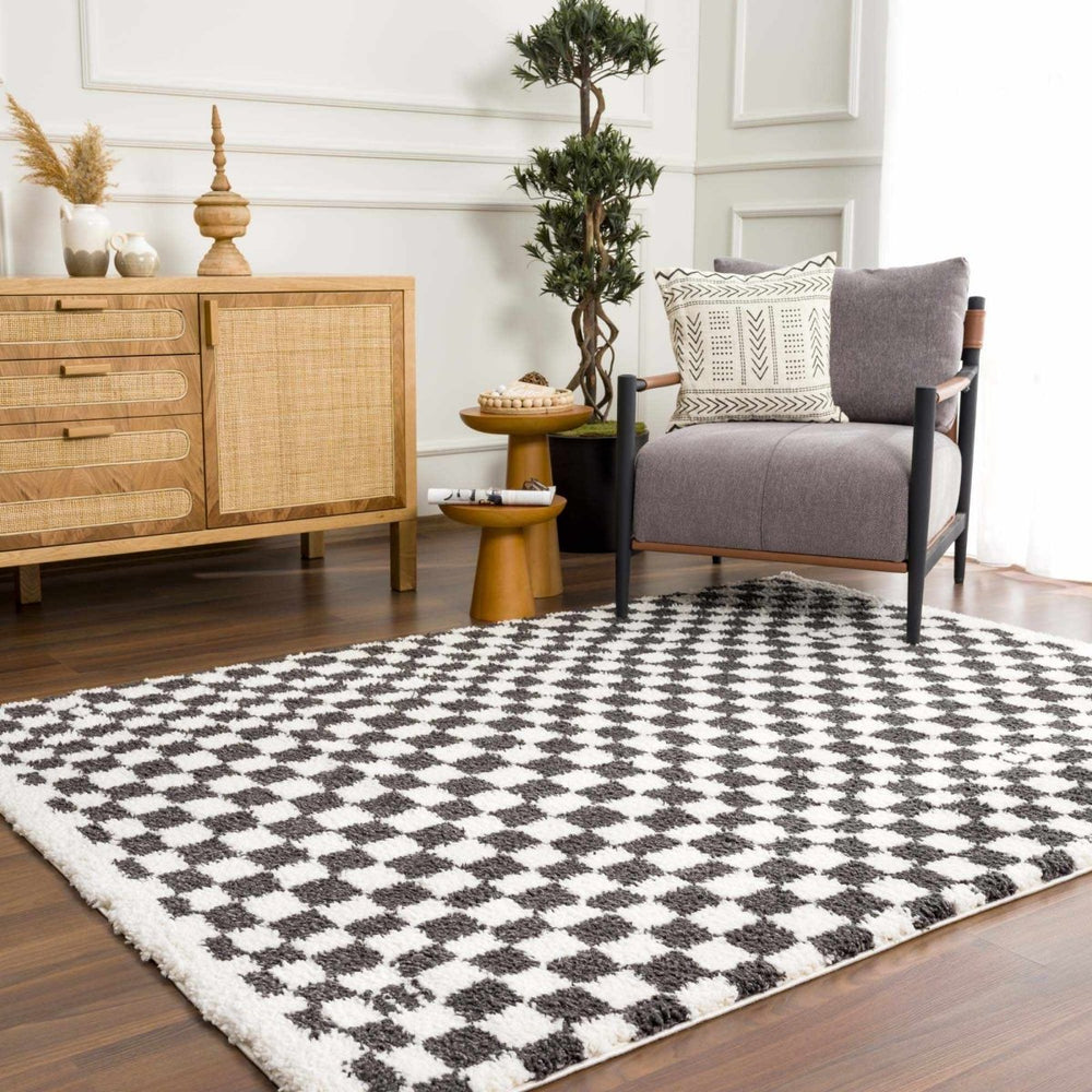 
                      
                        Hauteloom Kieu Black & White Checkered Area Rug - lily & onyx
                      
                    