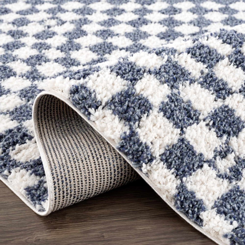 
                      
                        Hauteloom Kieu Blue & White Checkered Area Rug - lily & onyx
                      
                    