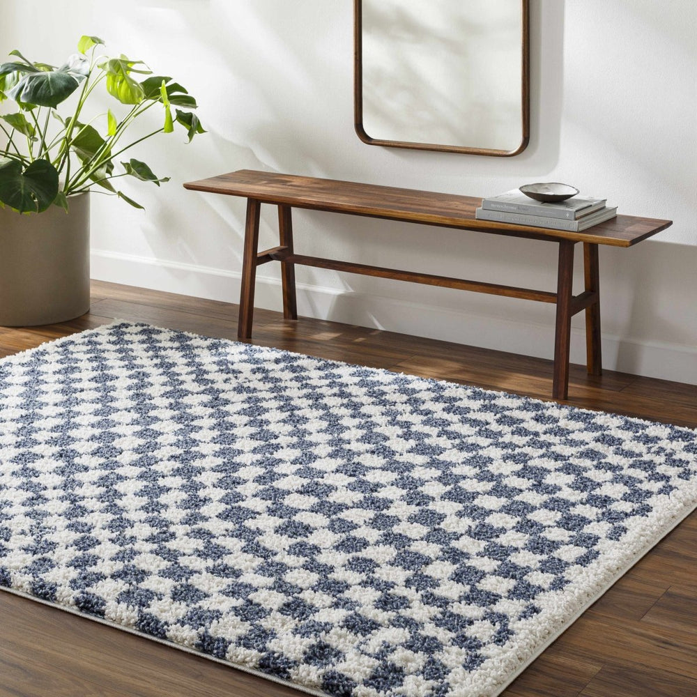 
                      
                        Hauteloom Kieu Blue & White Checkered Area Rug - lily & onyx
                      
                    