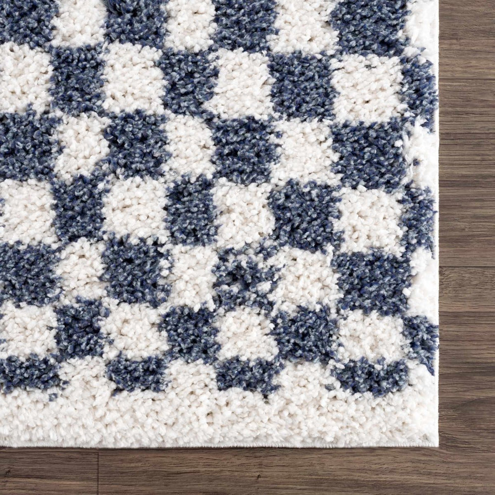 
                      
                        Hauteloom Kieu Blue & White Checkered Area Rug - lily & onyx
                      
                    