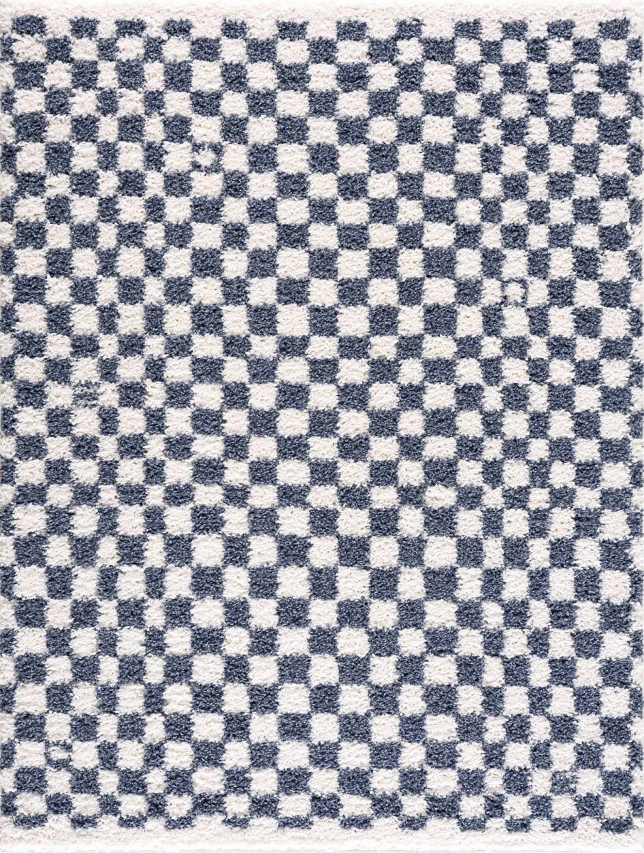 Load image into Gallery viewer, Hauteloom Kieu Blue &amp;amp; White Checkered Area Rug - lily &amp;amp; onyx
