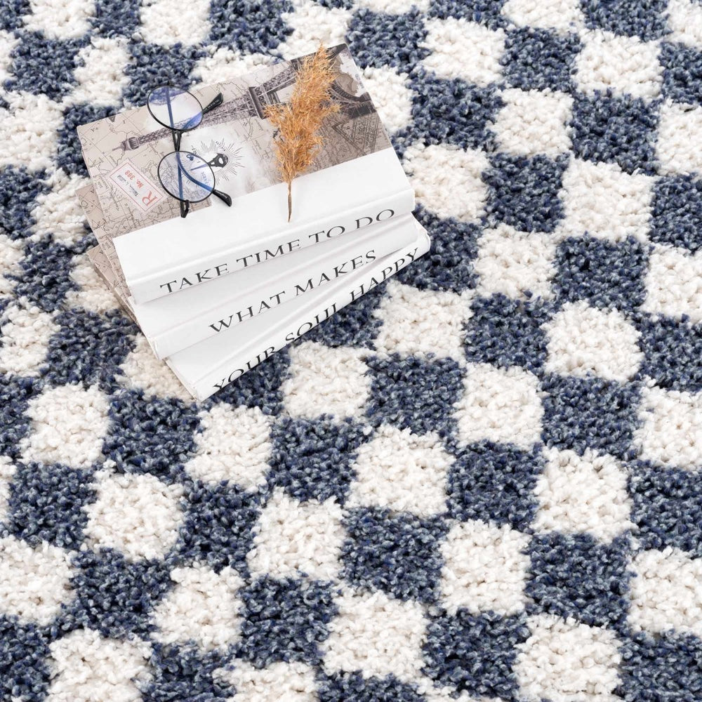 
                      
                        Hauteloom Kieu Blue & White Checkered Area Rug - lily & onyx
                      
                    