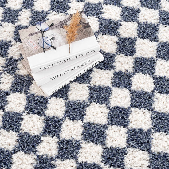 Hauteloom Kieu Blue & White Checkered Area Rug - lily & onyx