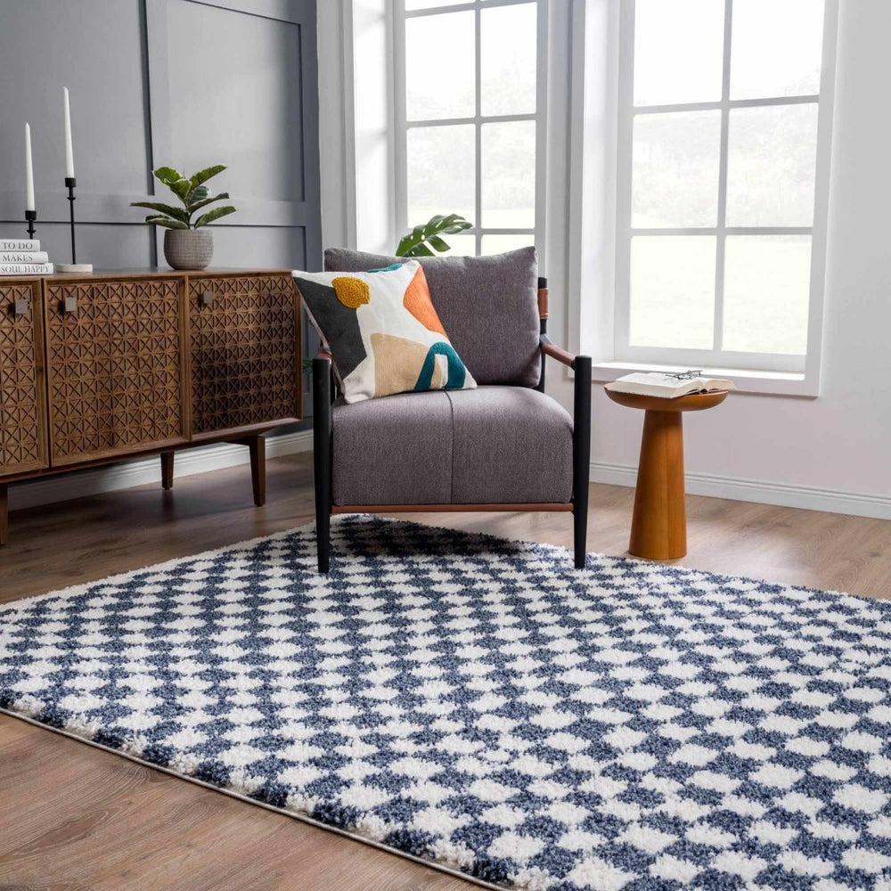 
                      
                        Hauteloom Kieu Blue & White Checkered Area Rug - lily & onyx
                      
                    