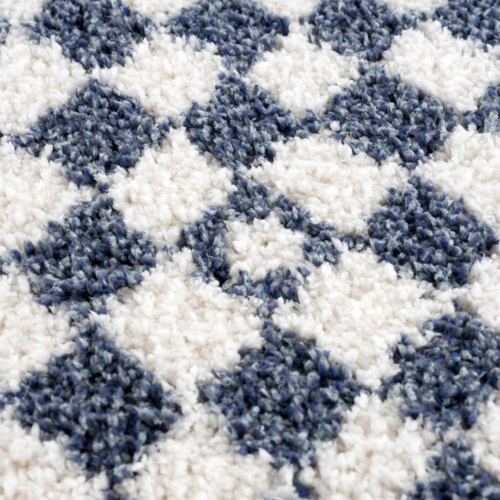 
                      
                        Hauteloom Kieu Blue & White Checkered Area Rug - lily & onyx
                      
                    