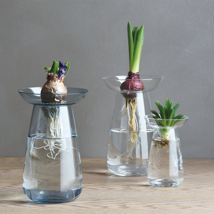 KINTO USA Aqua Culture Vase, 3