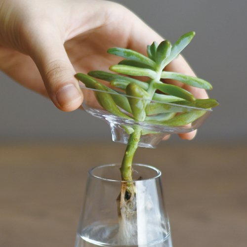 KINTO USA Aqua Culture Vase, 3"