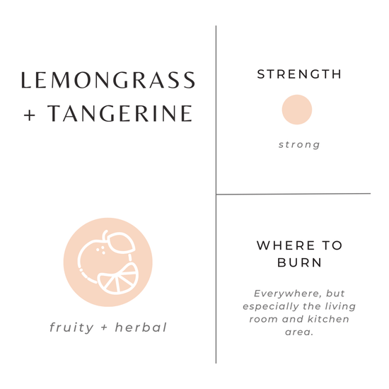 Slow North Lemongrass + Tangerine Frosted Candle, 8 oz - lily & onyx