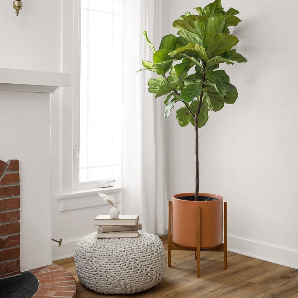 
                      
                        Solid Goods Mahogany Wood Reversible Plant Stand, 12 Inch - lily & onyx
                      
                    