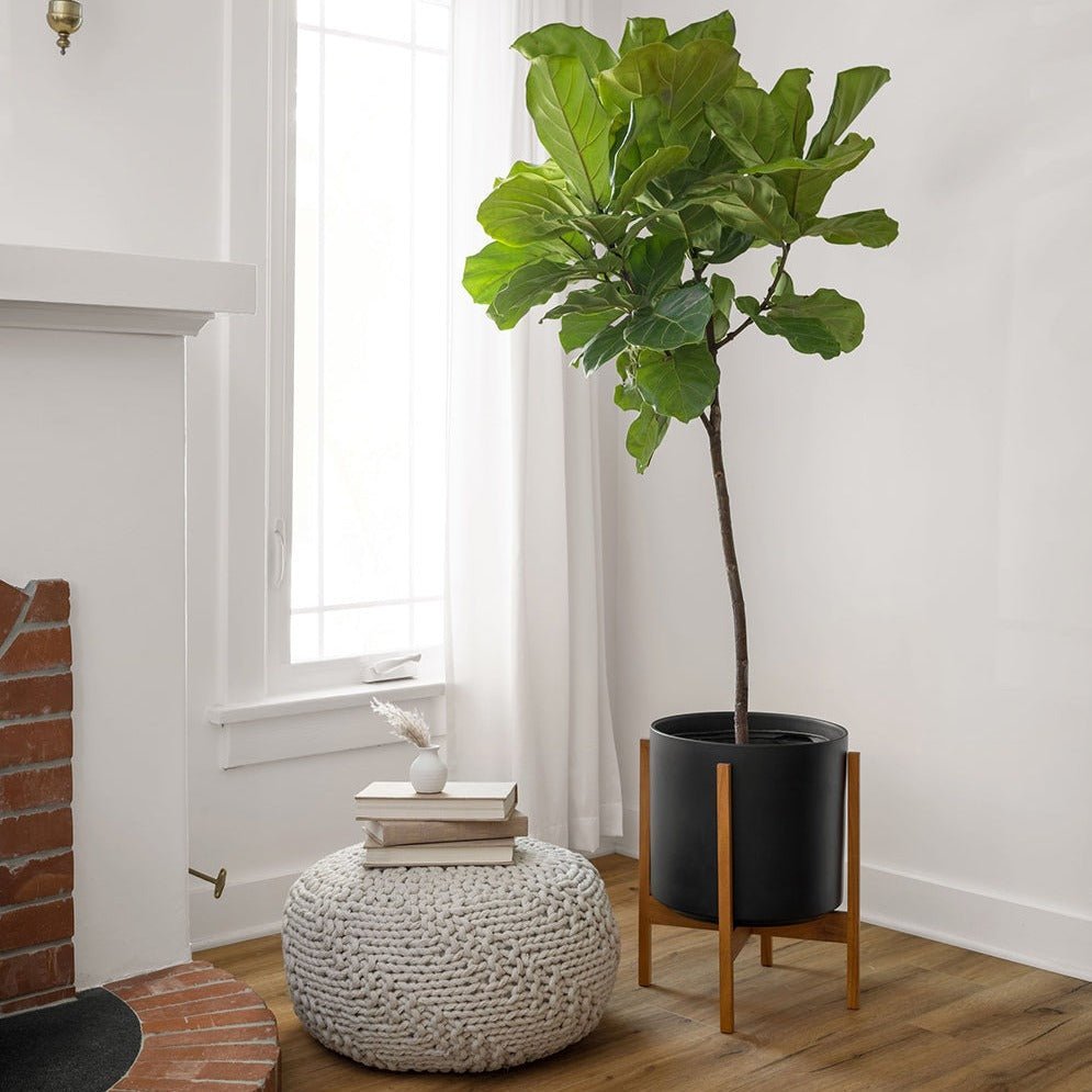 
                      
                        Solid Goods Mahogany Wood Reversible Plant Stand, 12 Inch - lily & onyx
                      
                    