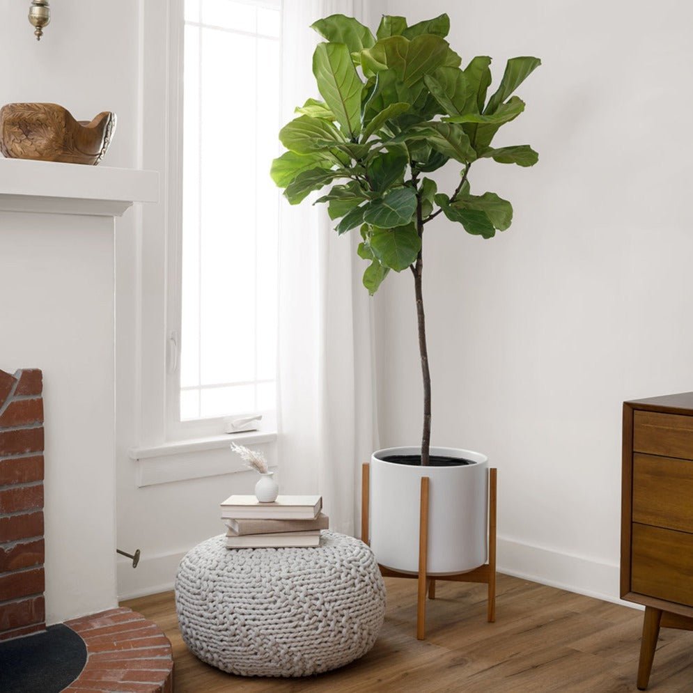 
                      
                        Solid Goods Mahogany Wood Reversible Plant Stand, 12 Inch - lily & onyx
                      
                    