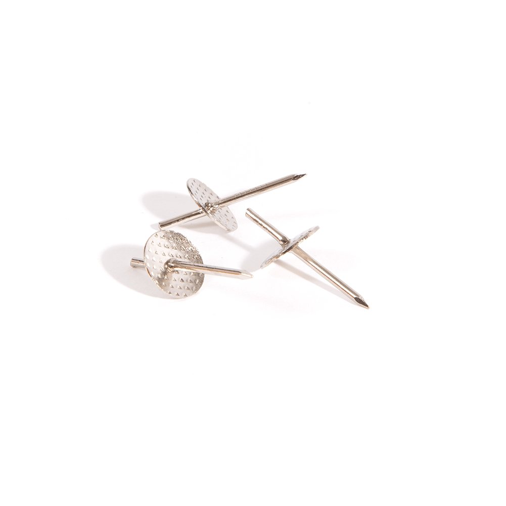 Modern Botanical Maple & Walnut Single Propagation Frame - lily & onyx