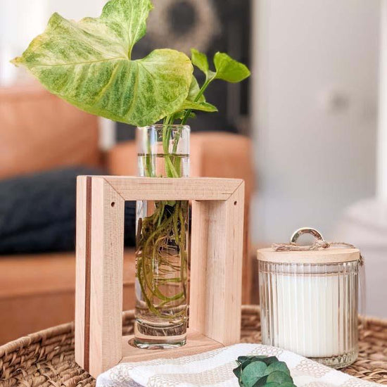Modern Botanical Maple & Walnut Single Propagation Frame - lily & onyx