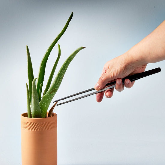 Modern Sprout Matte Black Precision Tweezers - lily & onyx