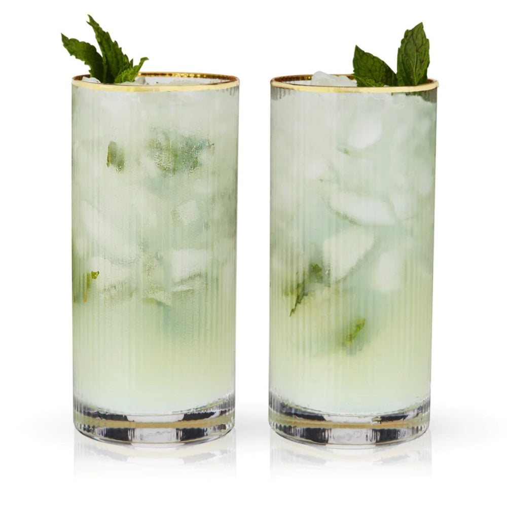 Viski Meridian Highball Glasses - lily & onyx