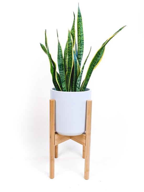 declutterd Mid-Level Adjustable Bamboo Plant Stand, 8"-12" - lily & onyx