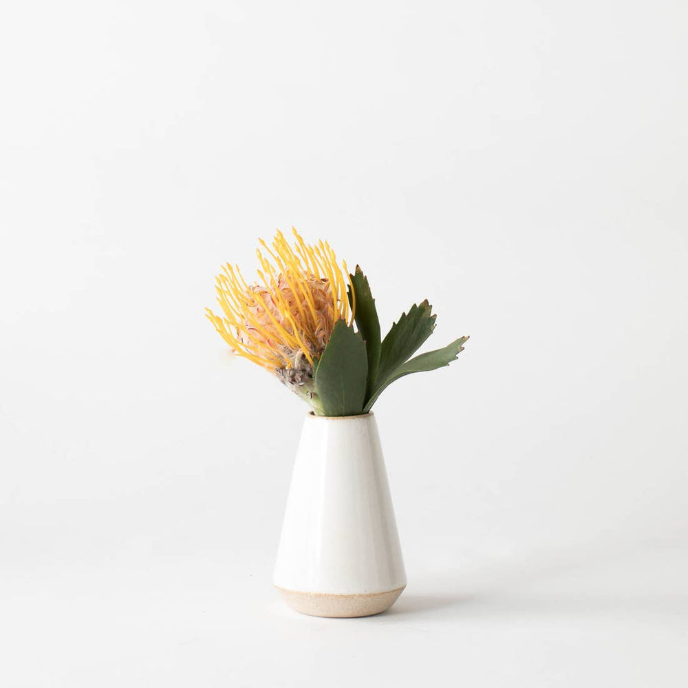 
                      
                        CONVIVIAL Minimal Ivory Bud Vase - lily & onyx
                      
                    