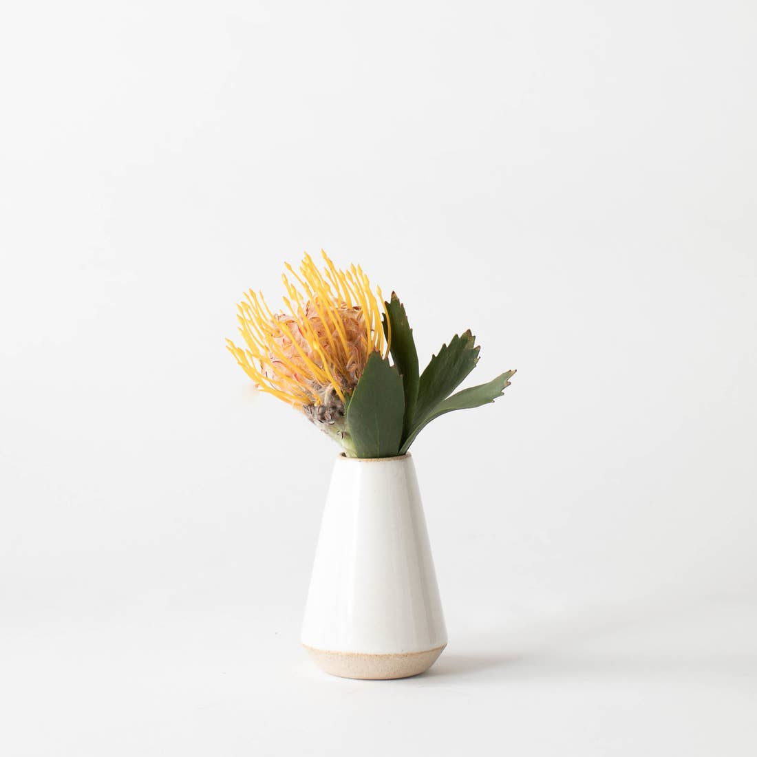 CONVIVIAL Minimal Ivory Bud Vase - lily & onyx