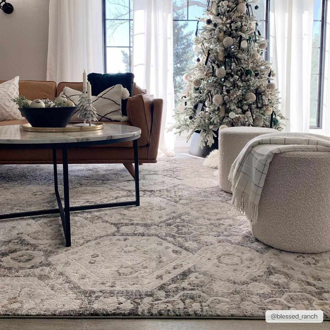 Load image into Gallery viewer, Hauteloom Minoa Area Rug - lily &amp;amp; onyx
