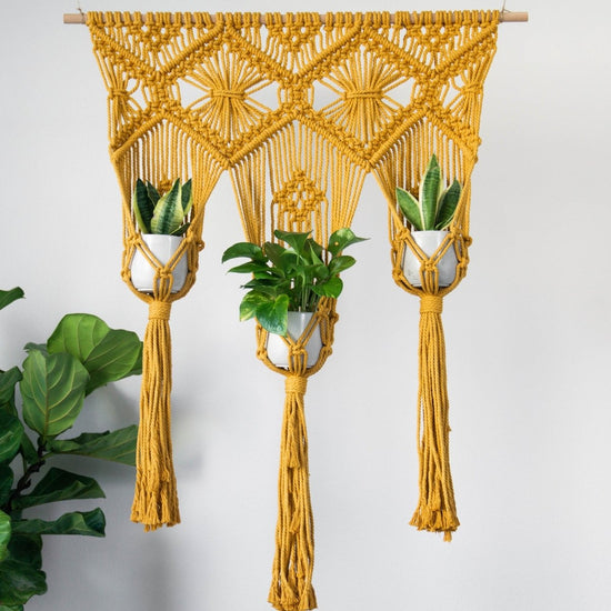 I Would Rather Knot Mustard Yellow Triple Plant Hanger - lily & onyx