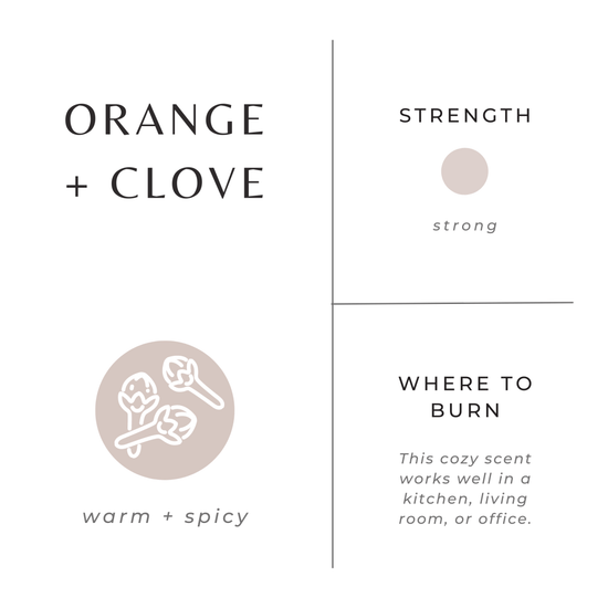 Slow North Orange + Clove Frosted Candle, 8 oz - lily & onyx