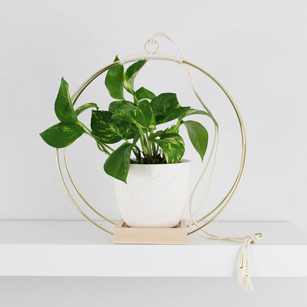 Load image into Gallery viewer, Braid &amp;amp; Wood Design Studio Plant Hanger - lily &amp;amp; onyx
