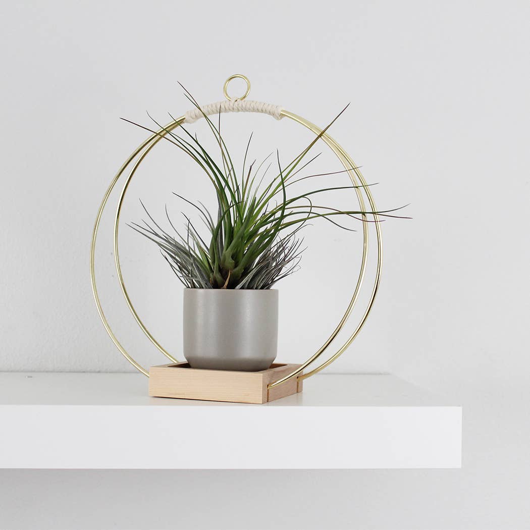 Load image into Gallery viewer, Braid &amp;amp; Wood Design Studio Plant Hanger - lily &amp;amp; onyx
