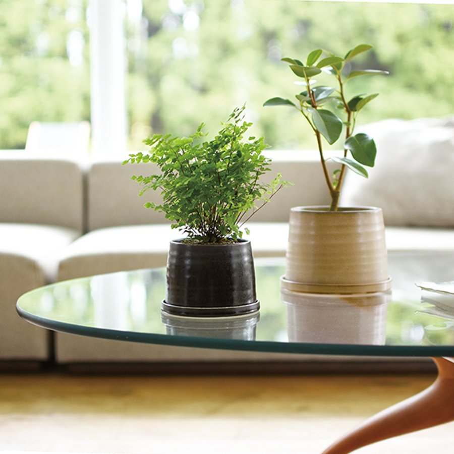 KINTO USA Plant Pot 192, 4 Inch - lily & onyx