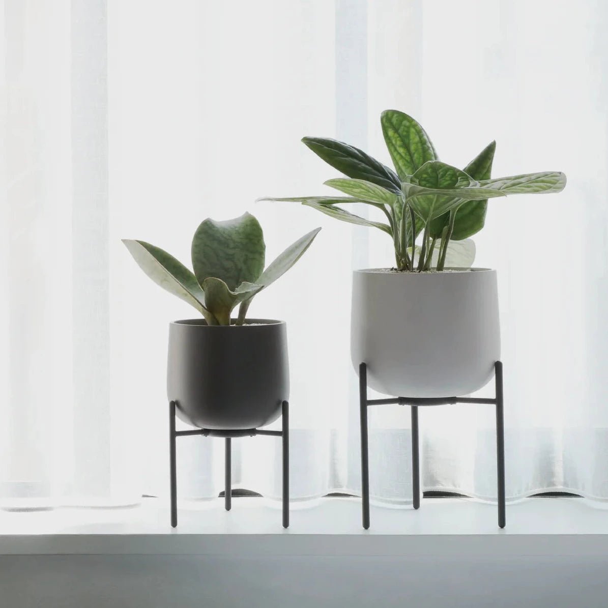 5 inch indoor planter KINTO 5in Ceramic Plant Pot 211 in Cream