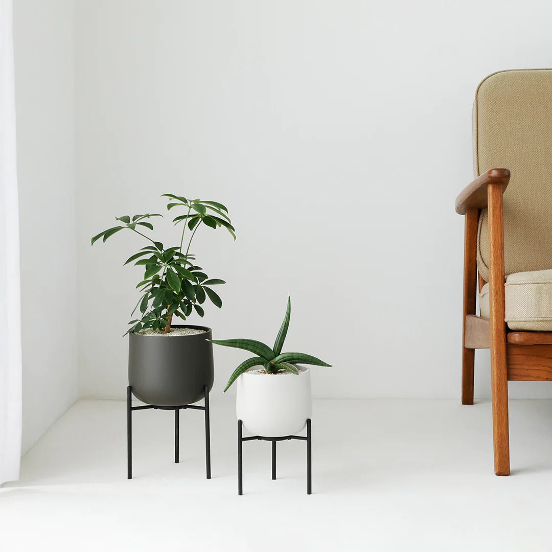 5 inch indoor planter KINTO 5in Ceramic Plant Pot 211 in Cream