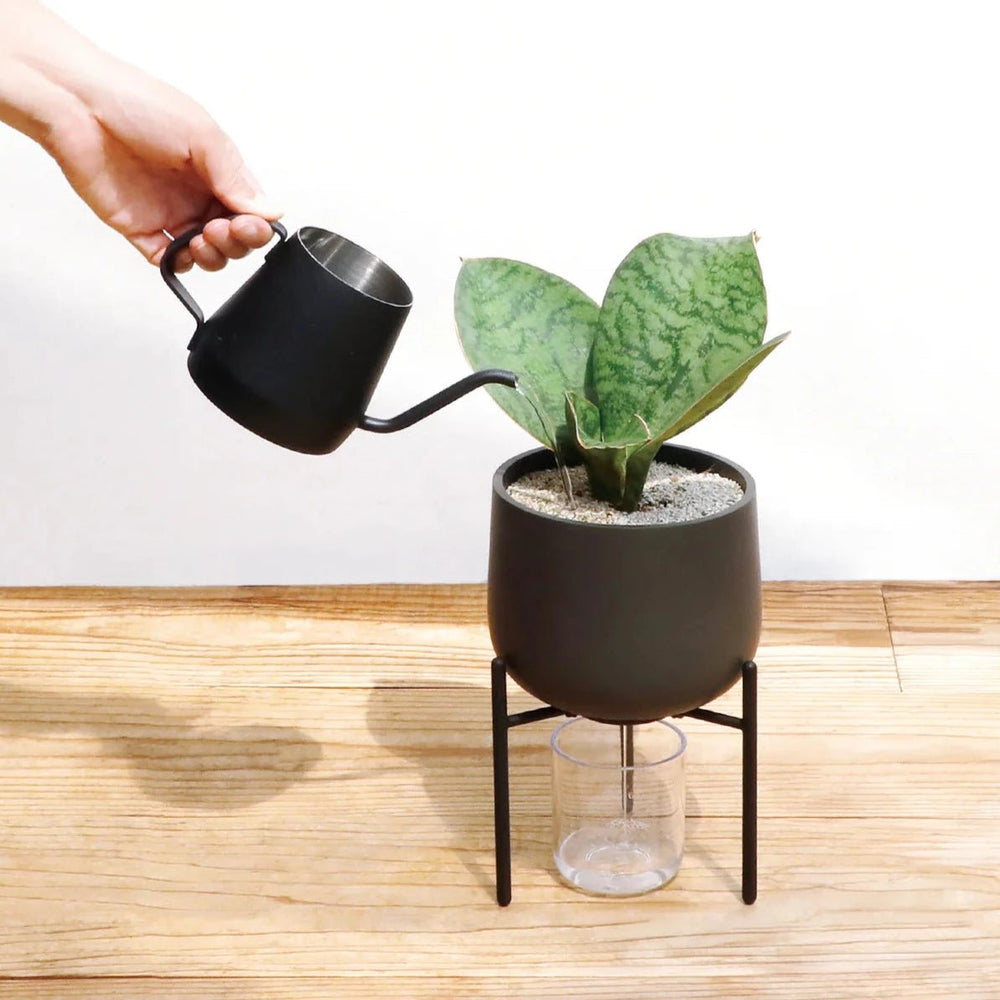 
                      
                        KINTO USA Plant Pot 211, 6" - lily & onyx
                      
                    