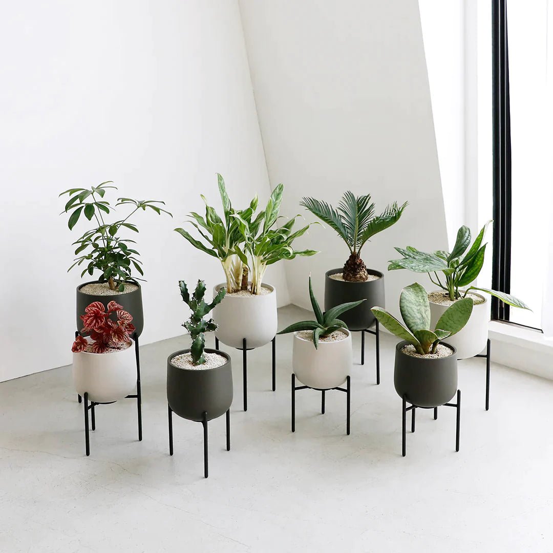 kinto plant pot KINTO Plant Pot 211